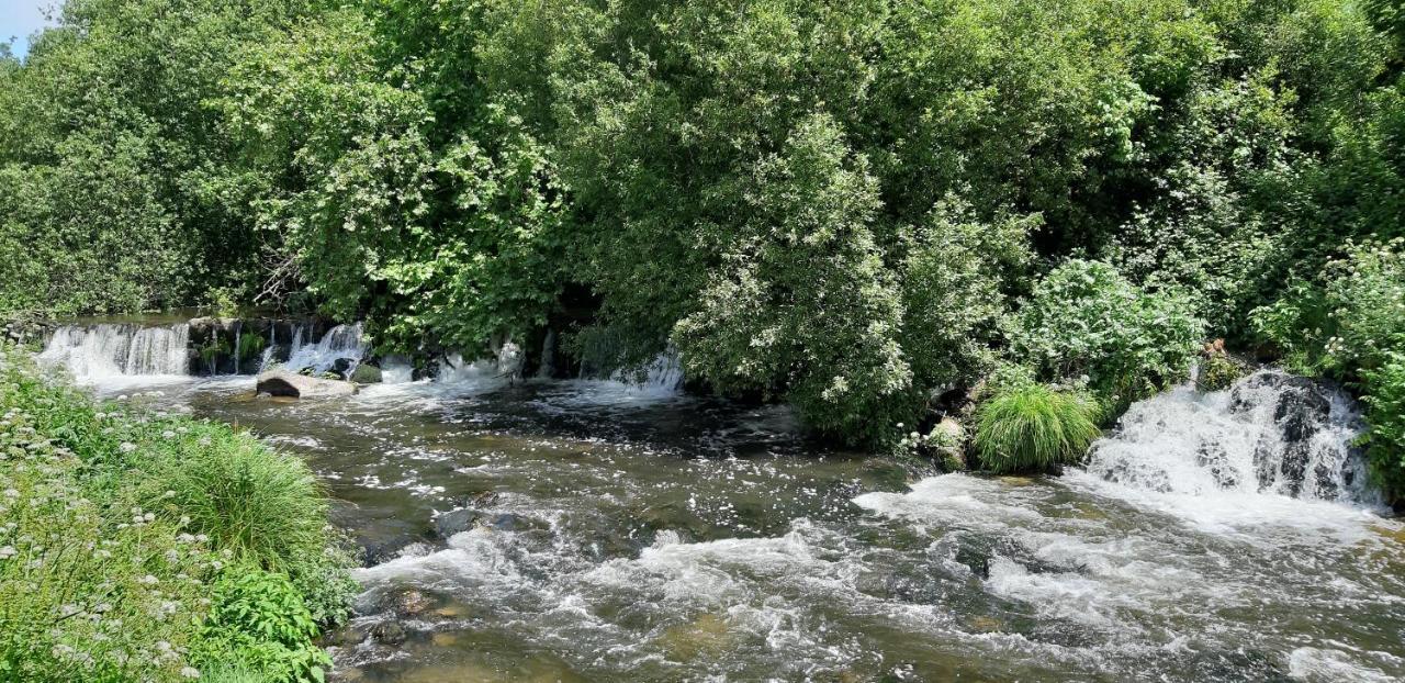 Dream Corner By Waterfalls, 20 Min To Oporto, By Porto With Love Lda Parada  Exterior foto