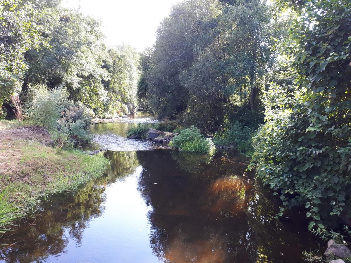 Dream Corner By Waterfalls, 20 Min To Oporto, By Porto With Love Lda Parada  Exterior foto